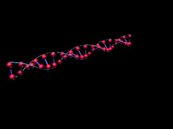 Genetics