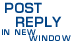 Post A Reply In A New Window